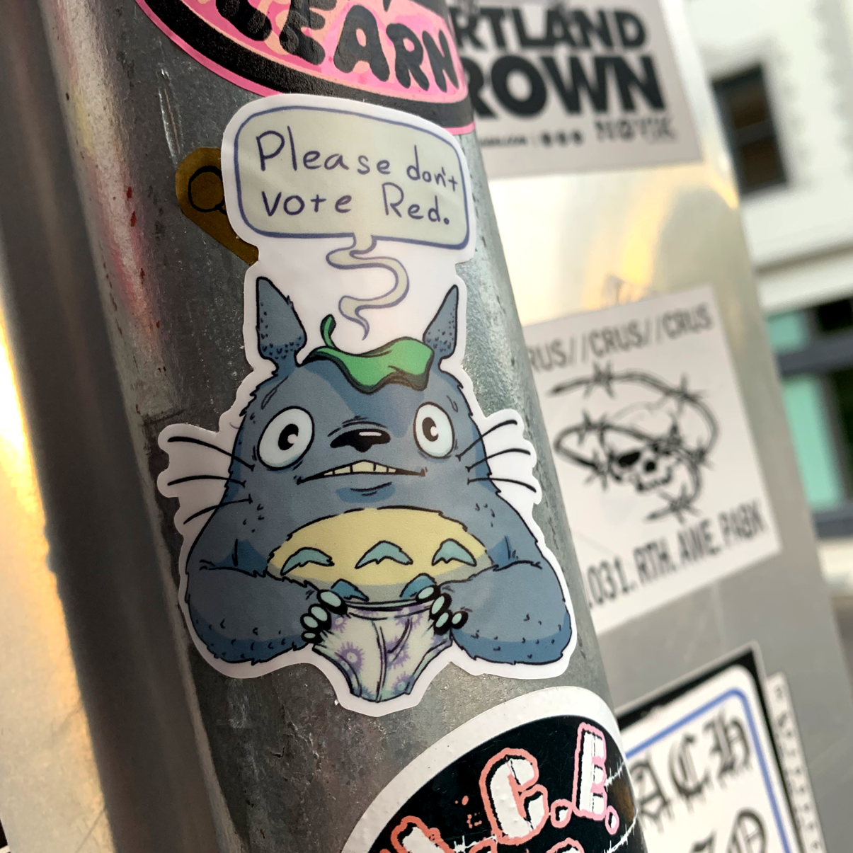 Totoro Has Opinions